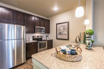 Chef-Inspired Kitchens Feature Stainless Steel Appliances at Century Palm Bluff, Texas